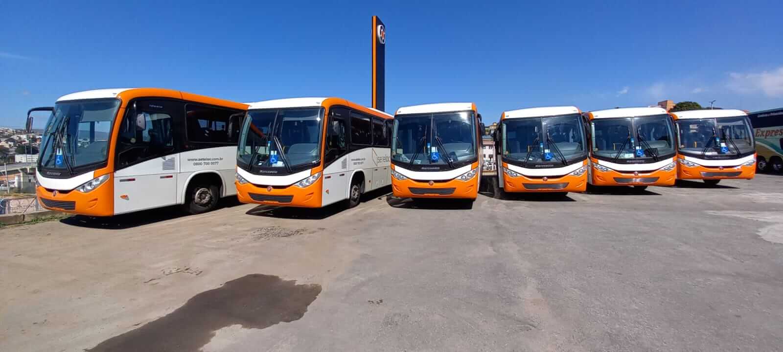 Buses